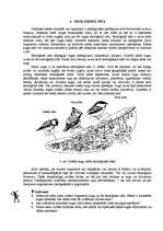 Referāts 'Ekoloģija, zemes uzbūve', 9.