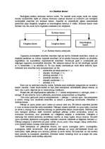 Referāts 'Ekoloģija, zemes uzbūve', 21.