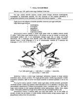 Referāts 'Ekoloģija, zemes uzbūve', 25.