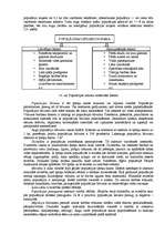 Referāts 'Ekoloģija, zemes uzbūve', 27.