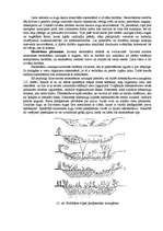 Referāts 'Ekoloģija, zemes uzbūve', 33.