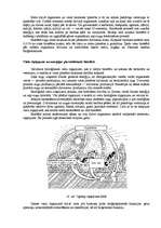 Referāts 'Ekoloģija, zemes uzbūve', 40.