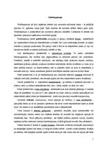 Eseja 'Telefonaptaujas', 1.