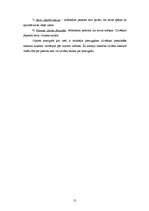 Referāts 'Personības attīstības pieeju salīdzinošā analīze Gordona Olporta un Erika Erikso', 12.