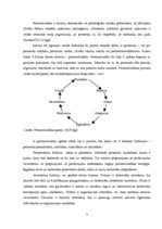 Diplomdarbs 'Personālvadības analīze uzņēmumā "X"', 9.