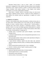 Diplomdarbs 'Personālvadības analīze uzņēmumā "X"', 10.