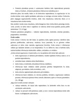 Diplomdarbs 'Personālvadības analīze uzņēmumā "X"', 11.