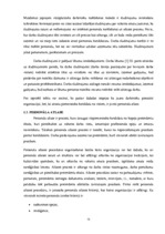 Diplomdarbs 'Personālvadības analīze uzņēmumā "X"', 16.