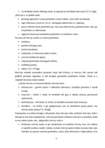 Diplomdarbs 'Personālvadības analīze uzņēmumā "X"', 19.