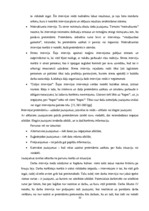 Diplomdarbs 'Personālvadības analīze uzņēmumā "X"', 20.