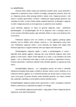 Diplomdarbs 'Personālvadības analīze uzņēmumā "X"', 22.