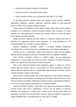 Diplomdarbs 'Personālvadības analīze uzņēmumā "X"', 24.