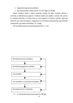 Diplomdarbs 'Personālvadības analīze uzņēmumā "X"', 33.