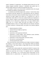 Diplomdarbs 'Personālvadības analīze uzņēmumā "X"', 43.