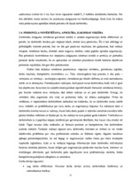 Diplomdarbs 'Personālvadības analīze uzņēmumā "X"', 51.