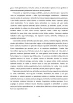 Diplomdarbs 'Personālvadības analīze uzņēmumā "X"', 58.