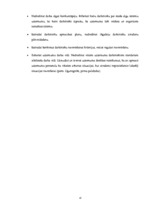 Diplomdarbs 'Personālvadības analīze uzņēmumā "X"', 61.