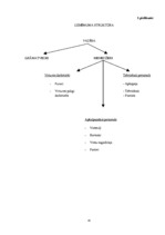 Diplomdarbs 'Personālvadības analīze uzņēmumā "X"', 66.
