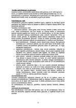 Referāts 'Galvojums', 13.