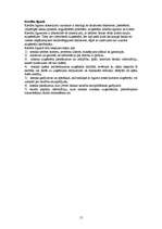 Referāts 'Galvojums', 15.