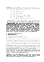 Diplomdarbs 'Izglītošanās process Rīgas 45.vidusskolas 3.b klasē', 20.