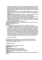 Diplomdarbs 'Izglītošanās process Rīgas 45.vidusskolas 3.b klasē', 26.