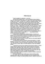 Diplomdarbs 'Izglītošanās process Rīgas 45.vidusskolas 3.b klasē', 51.