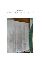 Diplomdarbs 'Izglītošanās process Rīgas 45.vidusskolas 3.b klasē', 67.