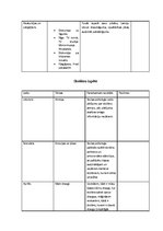 Diplomdarbs 'Izglītošanās process Rīgas 45.vidusskolas 3.b klasē', 87.