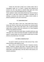 Diplomdarbs 'Kruīza kuģu pasažieru apkalpošanas tūrisma uzņēmuma izveide', 35.