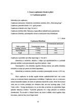 Diplomdarbs 'Kruīza kuģu pasažieru apkalpošanas tūrisma uzņēmuma izveide', 48.