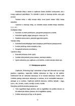 Diplomdarbs 'Kruīza kuģu pasažieru apkalpošanas tūrisma uzņēmuma izveide', 50.