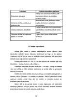 Diplomdarbs 'Kruīza kuģu pasažieru apkalpošanas tūrisma uzņēmuma izveide', 58.