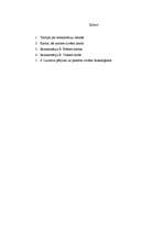 Referāts 'Reinkarnācija', 12.