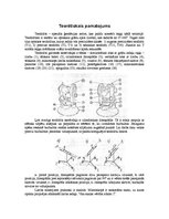 Paraugs 'Teodolīts. Limba nolasīšanas ierīce', 2.