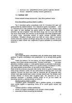 Referāts 'Ganīšanas sistēmu efektivitāte', 17.