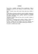 Biznesa plāns 'Sabiedrība ar ierobežotu atbildību "Veldze"', 1.