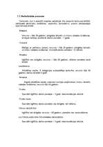 Biznesa plāns 'Sabiedrība ar ierobežotu atbildību "Veldze"', 23.