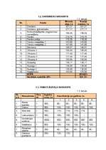 Biznesa plāns 'Sabiedrība ar ierobežotu atbildību "Veldze"', 32.