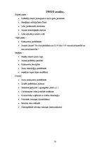 Referāts 'AS "Aldaris" mārketinga plāns', 19.