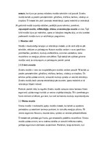 Konspekts 'Masāžas vēsture, veidi un pielietojums mūsdienu praksē', 2.