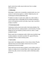 Konspekts 'Masāžas vēsture, veidi un pielietojums mūsdienu praksē', 3.