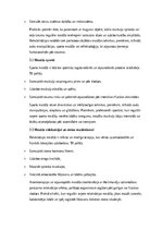 Konspekts 'Masāžas vēsture, veidi un pielietojums mūsdienu praksē', 5.