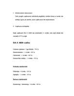 Biznesa plāns 'Biznesa plāns SIA "X-men"', 4.