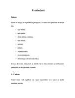 Biznesa plāns 'Biznesa plāns SIA "X-men"', 6.