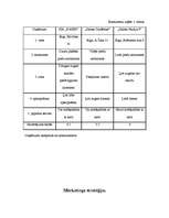 Biznesa plāns 'Biznesa plāns SIA "X-men"', 13.