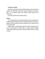 Biznesa plāns 'Biznesa plāns SIA "X-men"', 14.