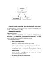 Biznesa plāns 'Biznesa plāns SIA "X-men"', 16.