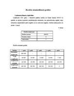 Biznesa plāns 'Biznesa plāns SIA "X-men"', 19.