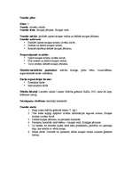 Konspekts 'Četru stundu plāns 5.klasei par tēmu "Saziņa"', 1.